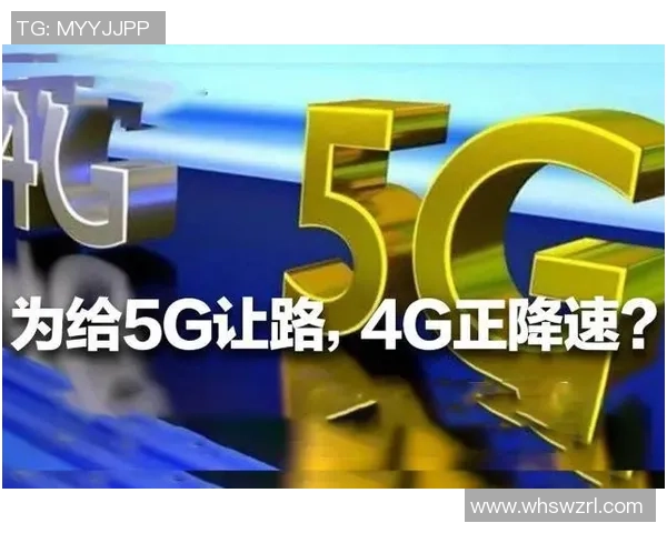 武汉篮球队运营革新探索：从管理模式到市场推广的全面升级之路